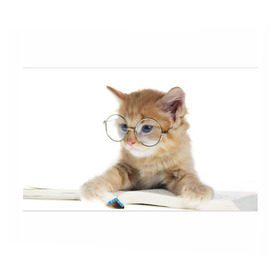 Бумага для упаковки 3D с принтом Кот в очках в Тюмени, пластик и полированная сталь | круглая форма, металлическое крепление в виде кольца | Тематика изображения на принте: домашнее | животное | книга | кот | кот в очках | котэ | очки | прикол | умный | ученый | читает