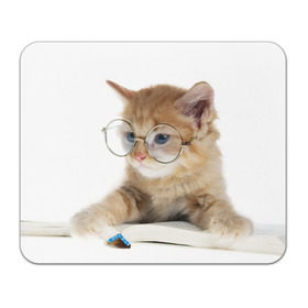 Коврик прямоугольный с принтом Кот в очках в Тюмени, натуральный каучук | размер 230 х 185 мм; запечатка лицевой стороны | Тематика изображения на принте: домашнее | животное | книга | кот | кот в очках | котэ | очки | прикол | умный | ученый | читает
