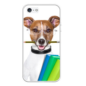 Чехол силиконовый для Телефон Apple iPhone 5/5S с принтом Ученый пес в Тюмени, Силикон | Область печати: задняя сторона чехла, без боковых панелей | домашнее | животное | карандаш | книги | очки | ошейник | пес | прикол | собака в очках | умный | ученый