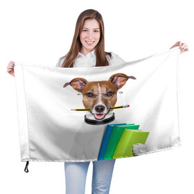 Флаг 3D с принтом Ученый пес в Тюмени, 100% полиэстер | плотность ткани — 95 г/м2, размер — 67 х 109 см. Принт наносится с одной стороны | домашнее | животное | карандаш | книги | очки | ошейник | пес | прикол | собака в очках | умный | ученый