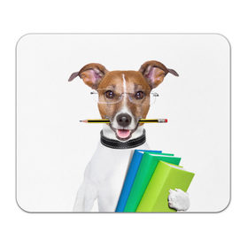 Коврик прямоугольный с принтом Ученый пес в Тюмени, натуральный каучук | размер 230 х 185 мм; запечатка лицевой стороны | домашнее | животное | карандаш | книги | очки | ошейник | пес | прикол | собака в очках | умный | ученый