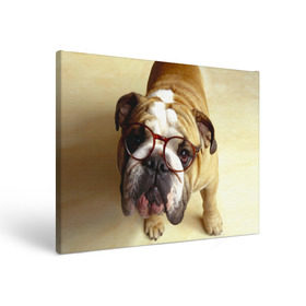 Холст прямоугольный с принтом Бульдог в очках в Тюмени, 100% ПВХ |  | бульдог в очках | домашнее | животное | очки | пес | прикол | собака | умный | ученый