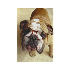 Обложка для паспорта матовая кожа с принтом Бульдог в очках в Тюмени, натуральная матовая кожа | размер 19,3 х 13,7 см; прозрачные пластиковые крепления | бульдог в очках | домашнее | животное | очки | пес | прикол | собака | умный | ученый