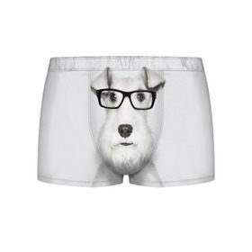 Мужские трусы 3D с принтом Собака в очках в Тюмени, 50% хлопок, 50% полиэстер | классическая посадка, на поясе мягкая тканевая резинка | белый | домашнее | животное | очки | пес | прикол | собака в очках | умный | ученый | эрдельтерьер