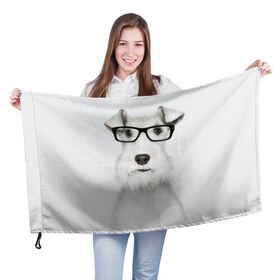 Флаг 3D с принтом Собака в очках в Тюмени, 100% полиэстер | плотность ткани — 95 г/м2, размер — 67 х 109 см. Принт наносится с одной стороны | белый | домашнее | животное | очки | пес | прикол | собака в очках | умный | ученый | эрдельтерьер