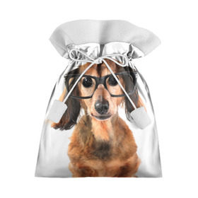 Подарочный 3D мешок с принтом Собака в очках в Тюмени, 100% полиэстер | Размер: 29*39 см | домашнее | животное | очки | пес | прикол | собака в очках | умный | ученый