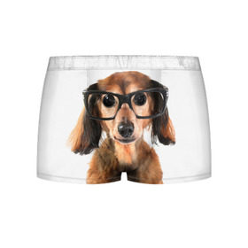 Мужские трусы 3D с принтом Собака в очках в Тюмени, 50% хлопок, 50% полиэстер | классическая посадка, на поясе мягкая тканевая резинка | домашнее | животное | очки | пес | прикол | собака в очках | умный | ученый