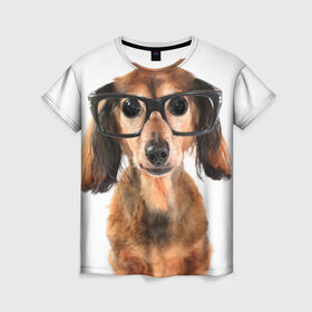 Женская футболка 3D с принтом Собака в очках в Тюмени, 100% полиэфир ( синтетическое хлопкоподобное полотно) | прямой крой, круглый вырез горловины, длина до линии бедер | домашнее | животное | очки | пес | прикол | собака в очках | умный | ученый