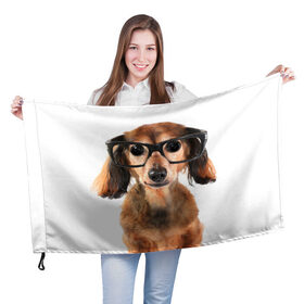 Флаг 3D с принтом Собака в очках в Тюмени, 100% полиэстер | плотность ткани — 95 г/м2, размер — 67 х 109 см. Принт наносится с одной стороны | домашнее | животное | очки | пес | прикол | собака в очках | умный | ученый