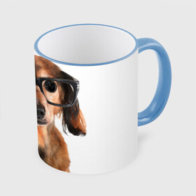Кружка 3D с принтом Собака в очках в Тюмени, керамика | ёмкость 330 мл | домашнее | животное | очки | пес | прикол | собака в очках | умный | ученый