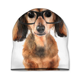 Шапка 3D с принтом Собака в очках в Тюмени, 100% полиэстер | универсальный размер, печать по всей поверхности изделия | домашнее | животное | очки | пес | прикол | собака в очках | умный | ученый
