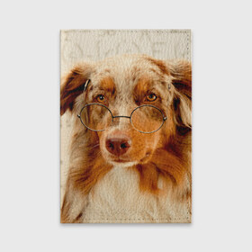 Обложка для паспорта матовая кожа с принтом Собака в очках в Тюмени, натуральная матовая кожа | размер 19,3 х 13,7 см; прозрачные пластиковые крепления | домашнее | животное | очки | пес | прикол | собака в очках | умный | ученый
