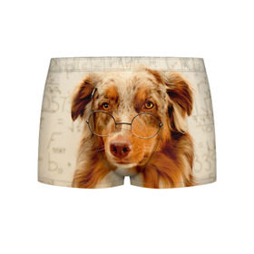 Мужские трусы 3D с принтом Собака в очках в Тюмени, 50% хлопок, 50% полиэстер | классическая посадка, на поясе мягкая тканевая резинка | домашнее | животное | очки | пес | прикол | собака в очках | умный | ученый