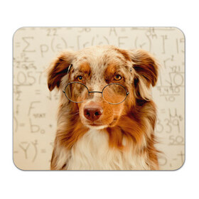 Коврик прямоугольный с принтом Собака в очках в Тюмени, натуральный каучук | размер 230 х 185 мм; запечатка лицевой стороны | домашнее | животное | очки | пес | прикол | собака в очках | умный | ученый