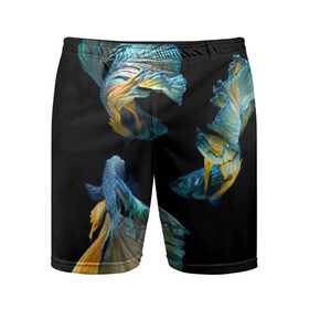 Мужские шорты 3D спортивные с принтом Бойцовая рыбка в Тюмени,  |  | аквариумная | бойцовая | красивый | плавники | рыба | рыбка | хвост | япаонская