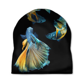 Шапка 3D с принтом Бойцовая рыбка в Тюмени, 100% полиэстер | универсальный размер, печать по всей поверхности изделия | аквариумная | бойцовая | красивый | плавники | рыба | рыбка | хвост | япаонская