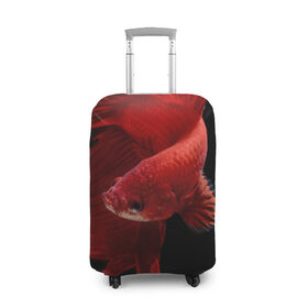 Чехол для чемодана 3D с принтом Бойцовая рыбка в Тюмени, 86% полиэфир, 14% спандекс | двустороннее нанесение принта, прорези для ручек и колес | аквариумная | бойцовая | красивый | плавники | рыба | рыбка | хвост | япаонская