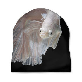 Шапка 3D с принтом Бойцовая рыбка в Тюмени, 100% полиэстер | универсальный размер, печать по всей поверхности изделия | аквариумная | бойцовая | красивый | плавники | рыба | рыбка | хвост | япаонская