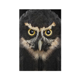 Обложка для паспорта матовая кожа с принтом Сова в Тюмени, натуральная матовая кожа | размер 19,3 х 13,7 см; прозрачные пластиковые крепления | взгляд | гипноз | гипнотический | глаза | мистическая | ночная | ночь | птица | сова | фон | хищник | черный