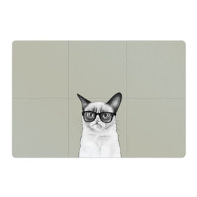 Магнитный плакат 3Х2 с принтом Кот - хипстер в Тюмени, Полимерный материал с магнитным слоем | 6 деталей размером 9*9 см | cat | hipster | кот | кошка | хипстер