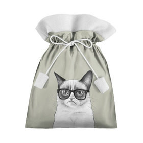 Подарочный 3D мешок с принтом Кот - хипстер в Тюмени, 100% полиэстер | Размер: 29*39 см | Тематика изображения на принте: cat | hipster | кот | кошка | хипстер
