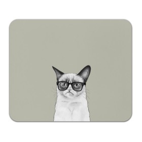 Коврик прямоугольный с принтом Кот - хипстер в Тюмени, натуральный каучук | размер 230 х 185 мм; запечатка лицевой стороны | cat | hipster | кот | кошка | хипстер