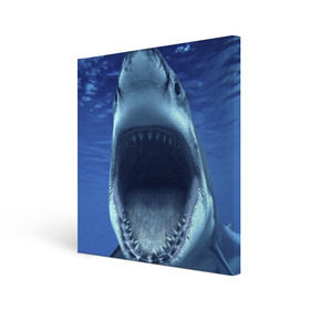 Холст квадратный с принтом Белая акула в Тюмени, 100% ПВХ |  | Тематика изображения на принте: shark | море | синий