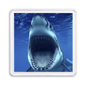 Магнит 55*55 с принтом Белая акула в Тюмени, Пластик | Размер: 65*65 мм; Размер печати: 55*55 мм | Тематика изображения на принте: shark | море | синий