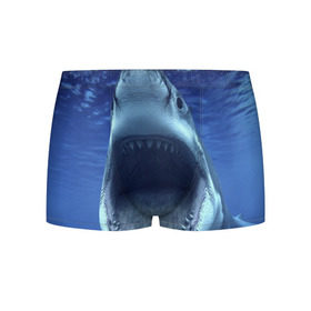Мужские трусы 3D с принтом Белая акула в Тюмени, 50% хлопок, 50% полиэстер | классическая посадка, на поясе мягкая тканевая резинка | shark | море | синий