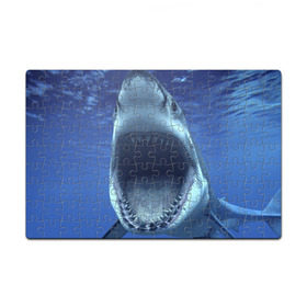 Пазл магнитный 126 элементов с принтом Белая акула в Тюмени, полимерный материал с магнитным слоем | 126 деталей, размер изделия —  180*270 мм | Тематика изображения на принте: shark | море | синий