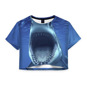 Женская футболка 3D укороченная с принтом Белая акула в Тюмени, 100% полиэстер | круглая горловина, длина футболки до линии талии, рукава с отворотами | shark | море | синий