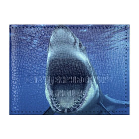 Обложка для студенческого билета с принтом Белая акула в Тюмени, натуральная кожа | Размер: 11*8 см; Печать на всей внешней стороне | Тематика изображения на принте: shark | море | синий