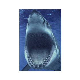 Обложка для паспорта матовая кожа с принтом Белая акула в Тюмени, натуральная матовая кожа | размер 19,3 х 13,7 см; прозрачные пластиковые крепления | Тематика изображения на принте: shark | море | синий