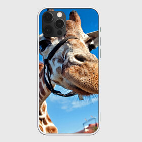 Чехол для iPhone 12 Pro Max с принтом Прикольный жираф в Тюмени, Силикон |  | Тематика изображения на принте: африка | животное | жираф | небо | природа