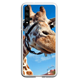 Чехол для Honor 20 с принтом Прикольный жираф в Тюмени, Силикон | Область печати: задняя сторона чехла, без боковых панелей | Тематика изображения на принте: африка | животное | жираф | небо | природа