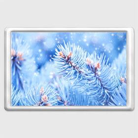 Магнит 45*70 с принтом Снежные иголки в Тюмени, Пластик | Размер: 78*52 мм; Размер печати: 70*45 | дед мороз | елка | ель | зима | иголки | новый год | снег