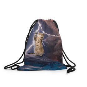 Рюкзак-мешок 3D с принтом Кот и молния в Тюмени, 100% полиэстер | плотность ткани — 200 г/м2, размер — 35 х 45 см; лямки — толстые шнурки, застежка на шнуровке, без карманов и подкладки | буря | гроза | кот | котенок | молния | облака