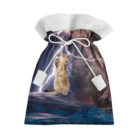 Подарочный 3D мешок с принтом Кот и молния в Тюмени, 100% полиэстер | Размер: 29*39 см | буря | гроза | кот | котенок | молния | облака