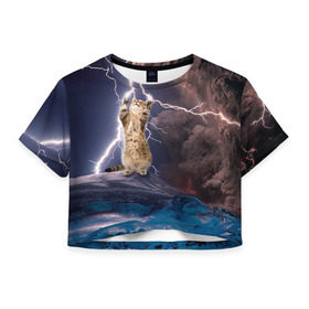 Женская футболка 3D укороченная с принтом Кот и молния в Тюмени, 100% полиэстер | круглая горловина, длина футболки до линии талии, рукава с отворотами | буря | гроза | кот | котенок | молния | облака