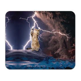 Коврик прямоугольный с принтом Кот и молния в Тюмени, натуральный каучук | размер 230 х 185 мм; запечатка лицевой стороны | Тематика изображения на принте: буря | гроза | кот | котенок | молния | облака