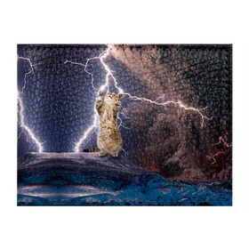 Обложка для студенческого билета с принтом Кот и молния в Тюмени, натуральная кожа | Размер: 11*8 см; Печать на всей внешней стороне | Тематика изображения на принте: буря | гроза | кот | котенок | молния | облака