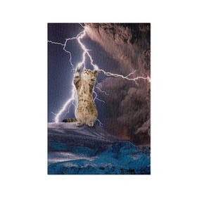 Обложка для паспорта матовая кожа с принтом Кот и молния в Тюмени, натуральная матовая кожа | размер 19,3 х 13,7 см; прозрачные пластиковые крепления | буря | гроза | кот | котенок | молния | облака