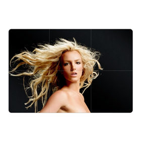 Магнитный плакат 3Х2 с принтом Бритни Спирс в Тюмени, Полимерный материал с магнитным слоем | 6 деталей размером 9*9 см | Тематика изображения на принте: бритни спирс