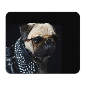 Коврик прямоугольный с принтом Бульдог в очках в Тюмени, натуральный каучук | размер 230 х 185 мм; запечатка лицевой стороны | бульдог в очках | домашнее | животное | клепки | кожа | металлист | очки | пес | прикол | рокер | собака | умный | ученый | французский