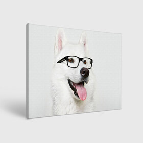 Холст прямоугольный с принтом Собака в очках в Тюмени, 100% ПВХ |  | домашнее | животное | очки | пес | прикол | собака в очках | умный | ученый