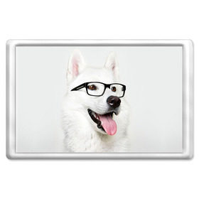 Магнит 45*70 с принтом Собака в очках в Тюмени, Пластик | Размер: 78*52 мм; Размер печати: 70*45 | домашнее | животное | очки | пес | прикол | собака в очках | умный | ученый