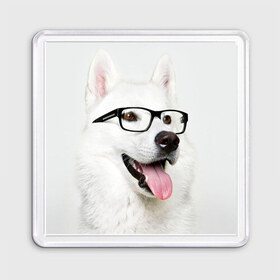 Магнит 55*55 с принтом Собака в очках в Тюмени, Пластик | Размер: 65*65 мм; Размер печати: 55*55 мм | домашнее | животное | очки | пес | прикол | собака в очках | умный | ученый