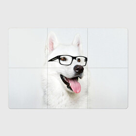 Магнитный плакат 3Х2 с принтом Собака в очках в Тюмени, Полимерный материал с магнитным слоем | 6 деталей размером 9*9 см | домашнее | животное | очки | пес | прикол | собака в очках | умный | ученый