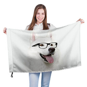 Флаг 3D с принтом Собака в очках в Тюмени, 100% полиэстер | плотность ткани — 95 г/м2, размер — 67 х 109 см. Принт наносится с одной стороны | домашнее | животное | очки | пес | прикол | собака в очках | умный | ученый
