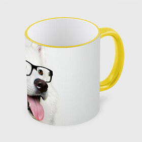 Кружка 3D с принтом Собака в очках в Тюмени, керамика | ёмкость 330 мл | домашнее | животное | очки | пес | прикол | собака в очках | умный | ученый